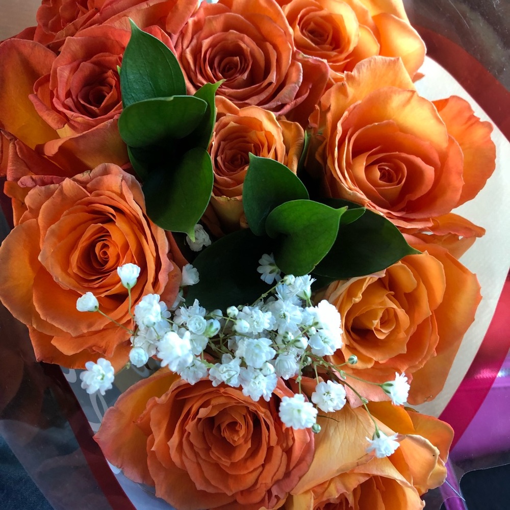 Meet your Posher, Des